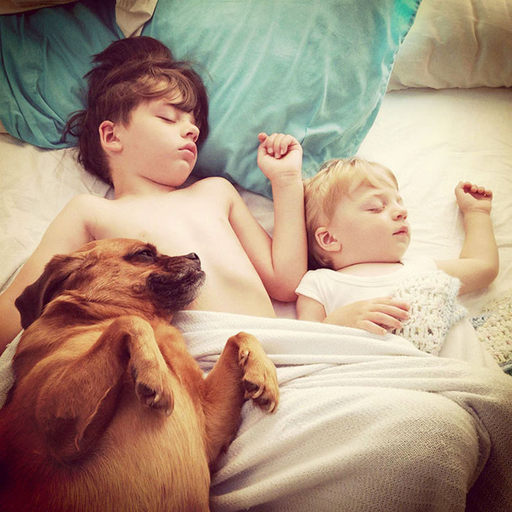 33 Adorable Photos of Dogs and Babies - Sleeping buddies.