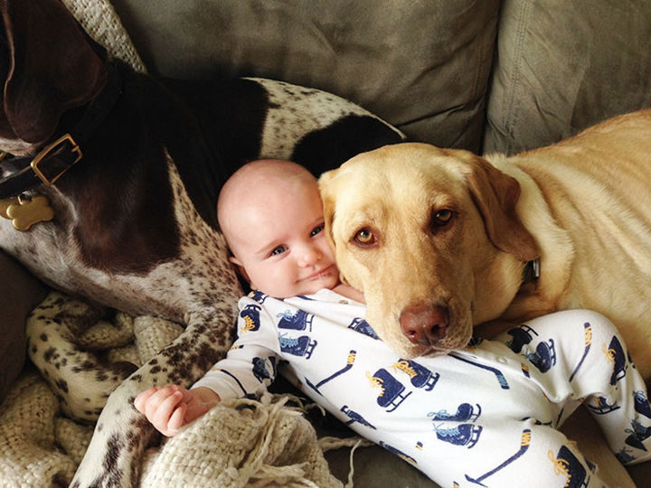 33 Adorable Photos of Dogs and Babies - Getting a cute selfie with the baby.