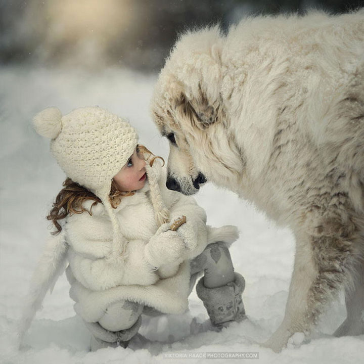 33 Adorable Photos of Dogs and Babies - Enjoying a snow day together.