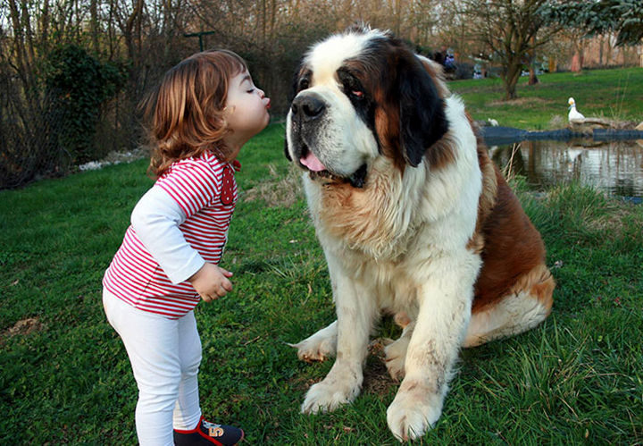 33 Adorable Photos of Dogs and Babies - "Give me a smooch!"