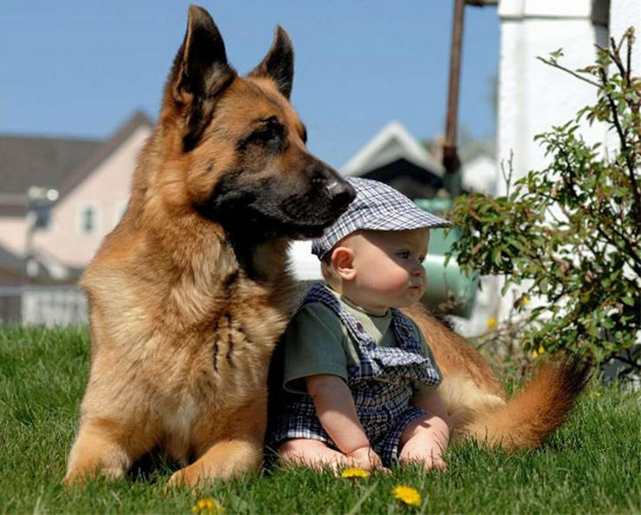 33 Adorable Photos of Dogs and Babies - "Don't worry, kid, I got your back."