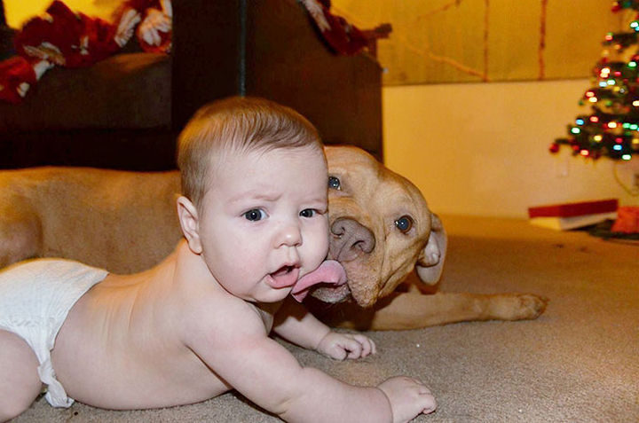 33 Adorable Photos of Dogs and Babies - Two cuties.
