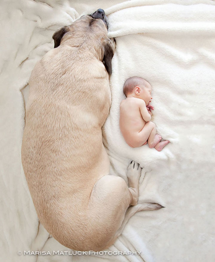 33 Adorable Photos of Dogs and Babies - Precious baby love.