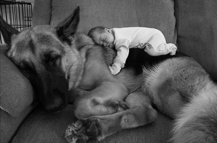 33 Adorable Photos of Dogs and Babies - The moose and squirrel :)