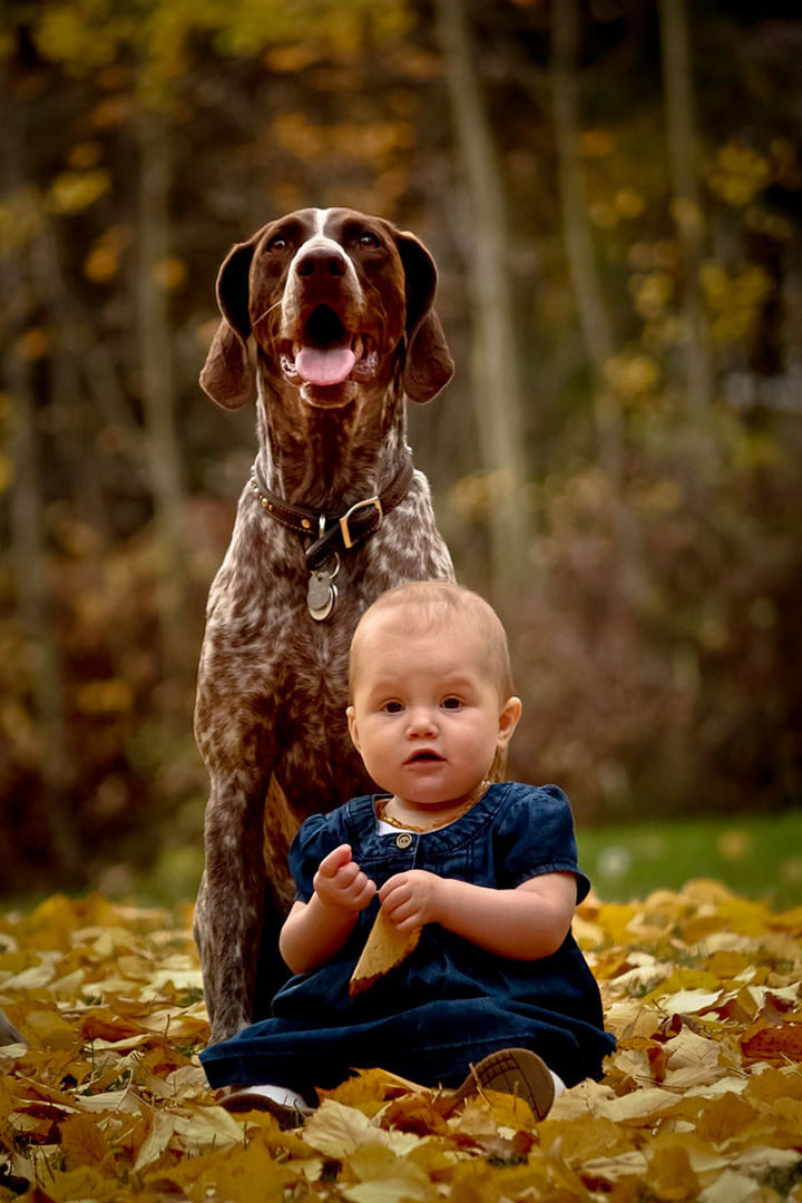 33 Adorable Photos of Dogs and Babies - "I will protect her."