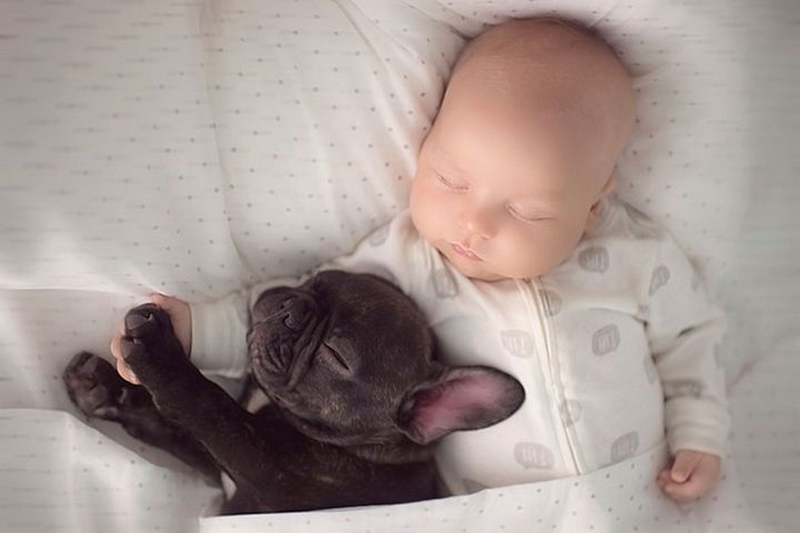 33 Adorable Photos of Dogs and Babies - Giving a high-five.