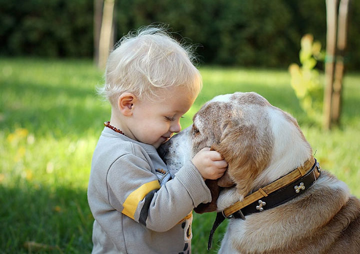 33 Adorable Photos of Dogs and Babies - Sweet friends.