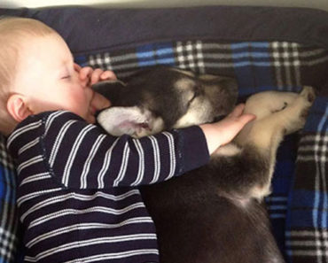 33 Adorable Photos of Kids and the Family Dog