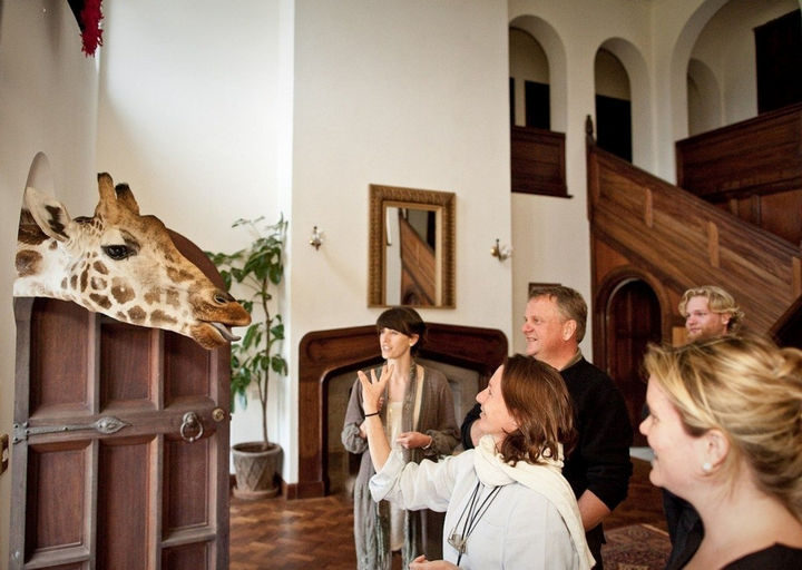 Ten giraffes live on the grounds of Giraffe Manor and they'll often drop by and make you feel welcomed.