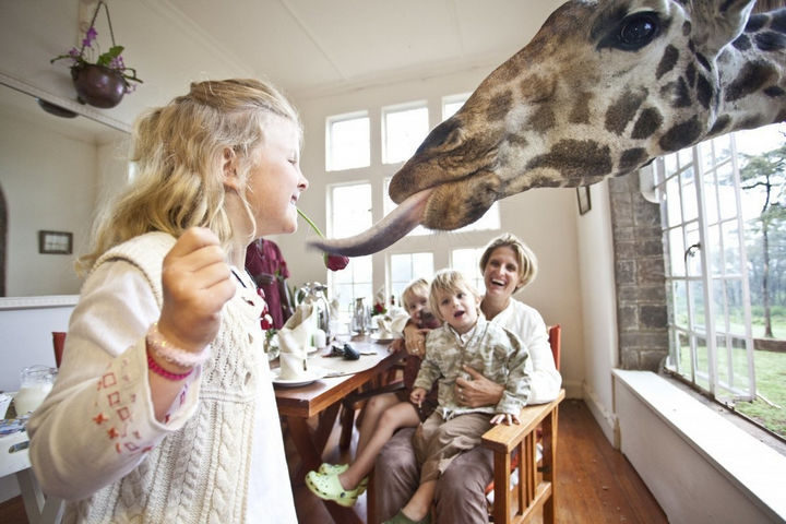 The experience is even more magical for kids and they will love the exciting guided tours.