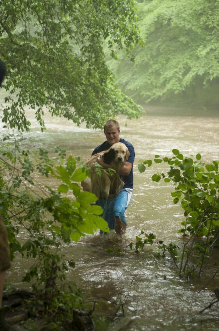 Marsh Creek State Park Hikers Risk Their Lives to Save a Puppy from Drowning.