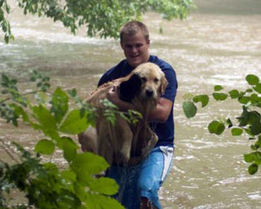 Hikers Risk Their Lives to Save a Lost Puppy From Being Swept in a Raging River