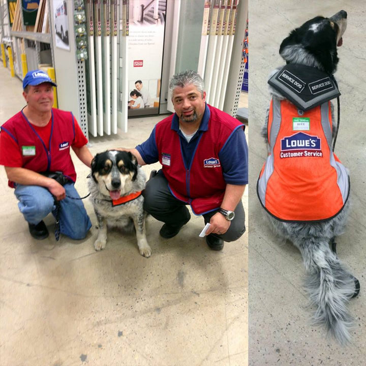 A Man With a Disability and Service Dog Couldn’t Find Work. What One Company Did Is Awesome!