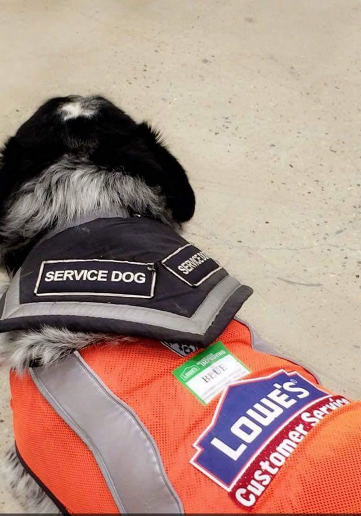 They gave the new employee some training and together with his trusty sidekick, he will provide unmatched customer service at Lowe's in Regina, Saskatchewan.