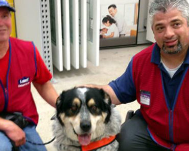 A Man With a Disability and Service Dog Couldn’t Find Work. What One Company Did Is Awesome!