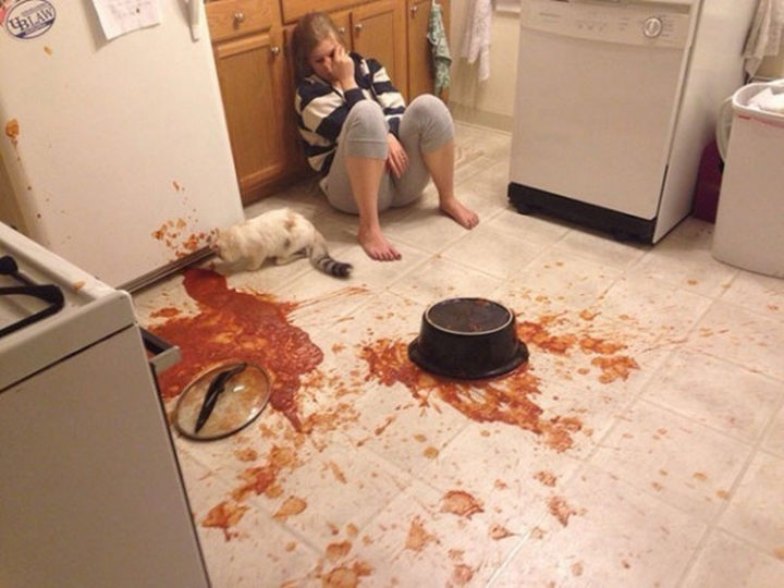 28 People Having a Bad Day - Dinner is wasted but the cat seems to be having fun.