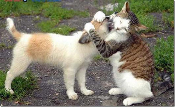 Romeo and Juliet.