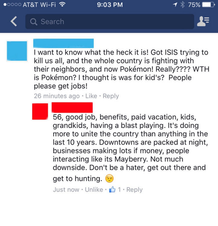 "I want to know what the heck it is! Got ISIS trying to kill us all, and the whole country is fighting with their neighbors, and now Pokémon! Really???? WTH is Pokémon? I thought it was for kids? People, please get jobs! 56, good job, benefits, paid vacation, kids, grandkids, having a blast playing. It's doing more to unite the country than anything in the last 10 years. Downtowns are packed at night, businesses making lots of money, people interacting like it's Mayberry. Not much downside. Don't be a hater, get out there and get to hunting."