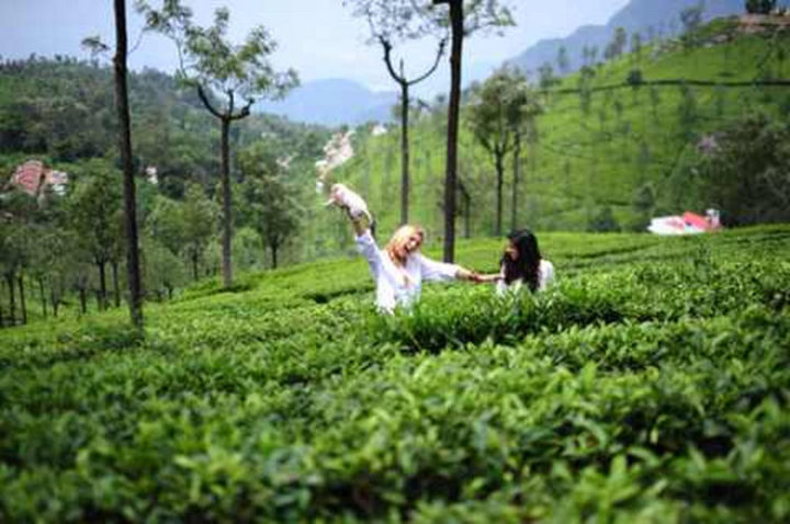 They also visited tea plantations.