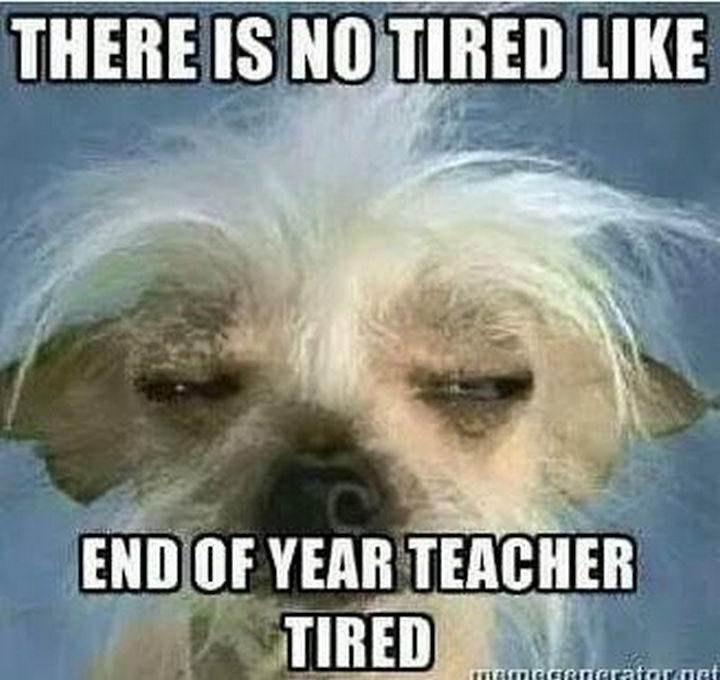 "There is no tired like end of year teacher tired."