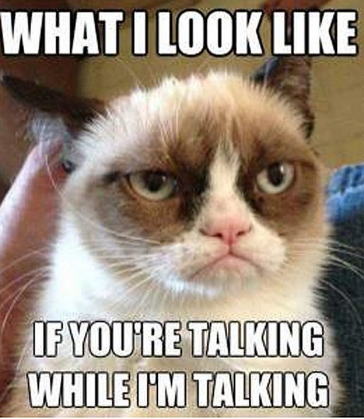67 Funny Teacher Memes - "What I look like if you're talking while I'm talking."
