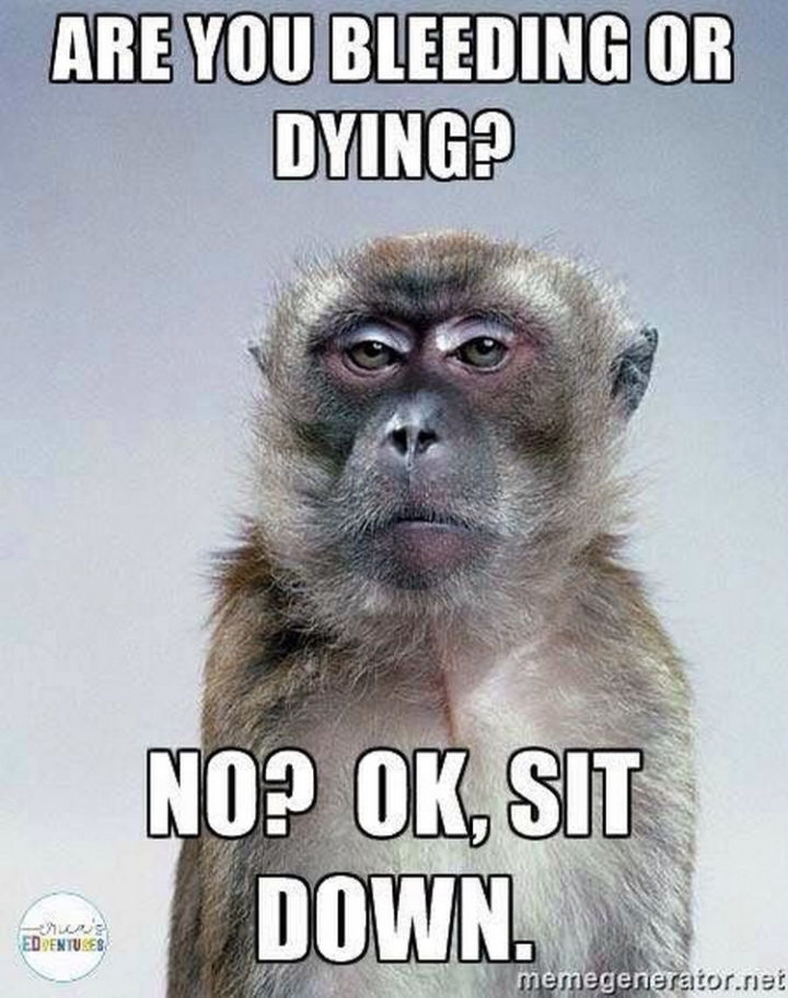 67 Funny Teacher Memes - "Are you bleeding or dying? No? OK, sit down."