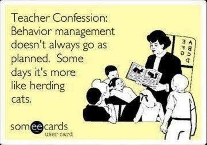"Teacher Confession: Behavior management doesn't always go as planned. Some days it's more like herding cats."