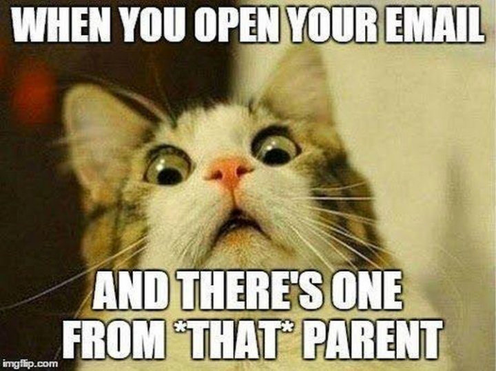 "When you open your email and there's one from *that* parent."