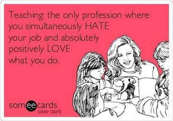 "Teaching: The only profession where you simultaneously hate your job and absolutely love what you do."