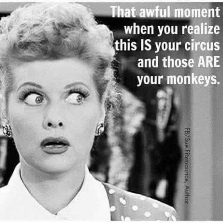 "That awful moment you realize this is your circus and those are your monkeys."