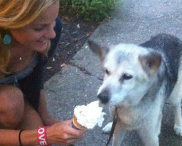 This 16-Year-Old Dog Spent Her Last Hours on Earth in Pure Bliss. This Is So Sweet.