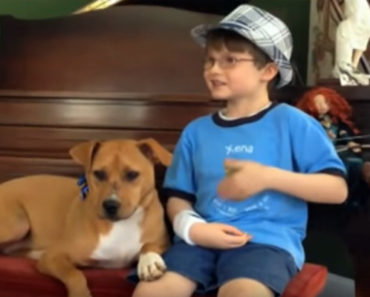 Mother Brings Home a Pit Bull for Her Son With Autism and Changes His Entire World