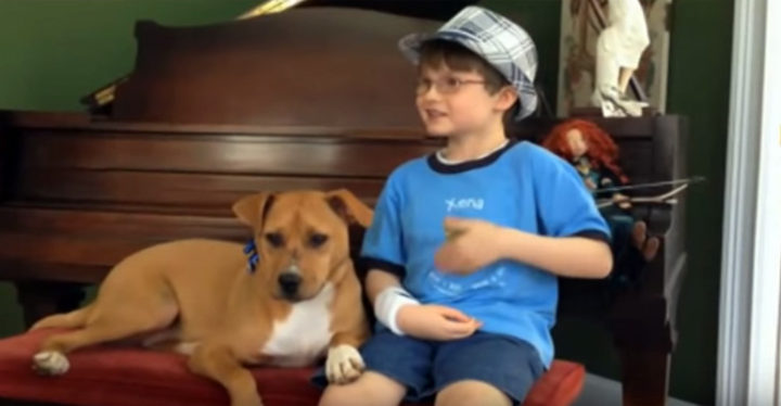 Mother Brings Home Xena the Pit bull for Her Autistic Son Jonny.