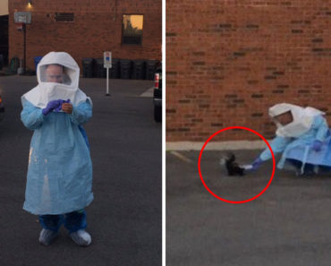 Brave Paramedic Wearing an Ebola Suit Rescues Stuck Skunk With Cup on Its Head