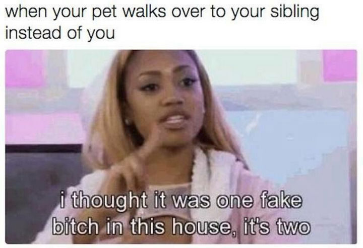 19 Photos Only People Growing Up With Siblings Will Understand