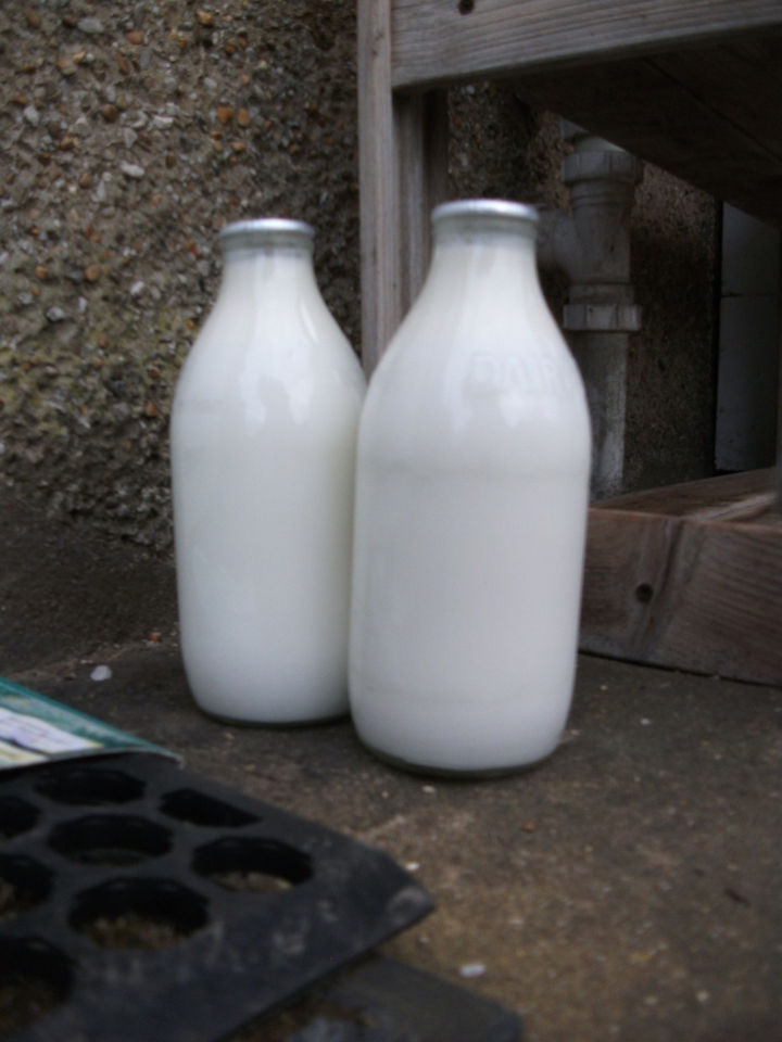 34 Cosas si creciste en los 60 o 70 - Un lechero entregaba leche fresca a tu puerta.