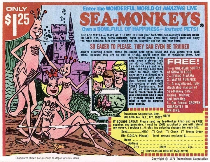 34 Cosas si creciste en los 60 o 70 - Añadiste agua con la esperanza de incubar tu propia familia de monos marinos.