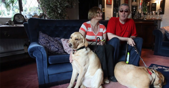 Blind Couple Find True Love With the Help of Their Guide Dogs.
