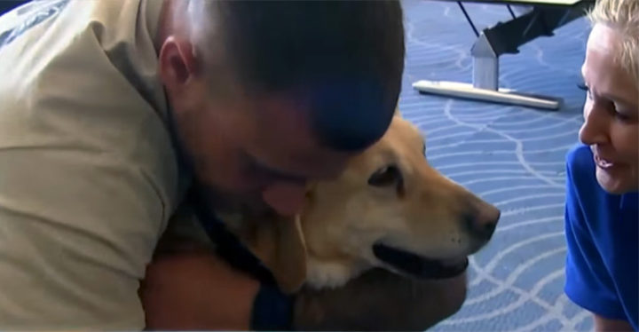 She Reunites a Soldier With a Service Dog Who Saved His Life.