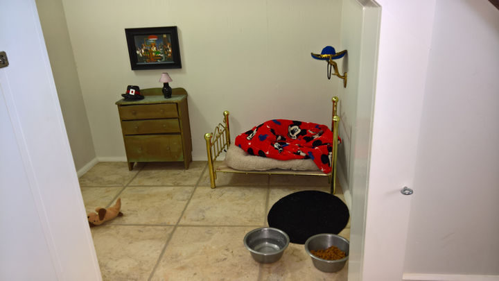 What he was looking at was an adorable Harry Potter-themed room that his aunt McCall built for Poncho the dog.