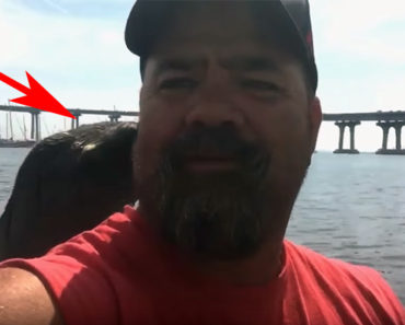 Boater Gets Ready To Take a Selfie. He Gets The Best Photobomb Ever Instead!