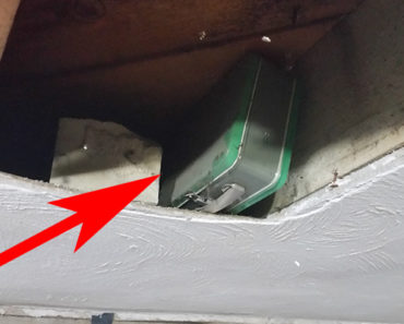 He Decided to Remodel His Basement. What He Found in the Ceiling Will Make Your Jaw Drop!