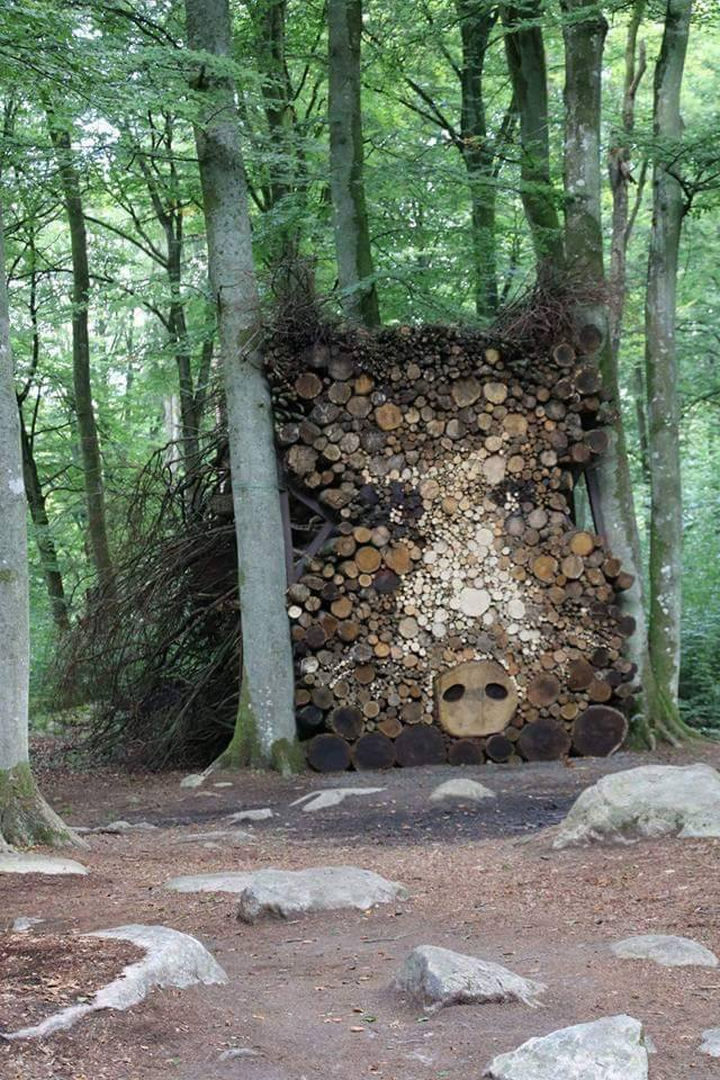 I wouldn't want to mess around with this giant wild boar.