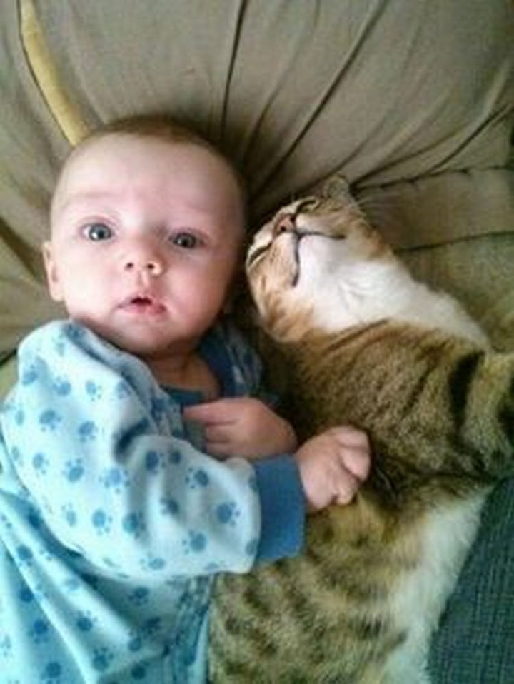 21 Cats Babysitting Babies - "My back is itchy, can you scratch it?"