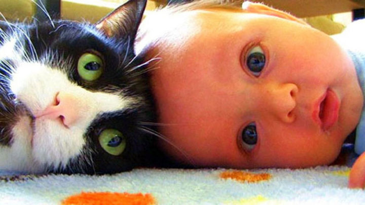21 Cats Babysitting Babies - "He's right there isn't he?"