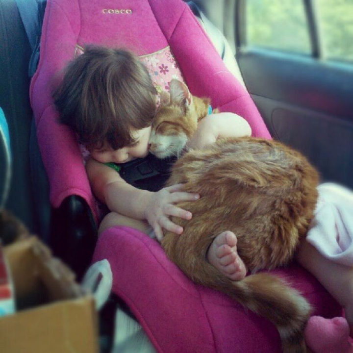 21 Cats Babysitting Babies - "Hold me like this forever, OK?"
