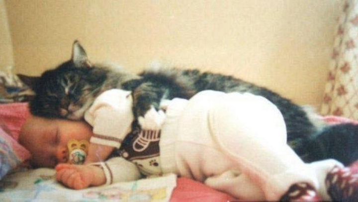 21 Cats Babysitting Babies - "I finally get to be the big spoon."