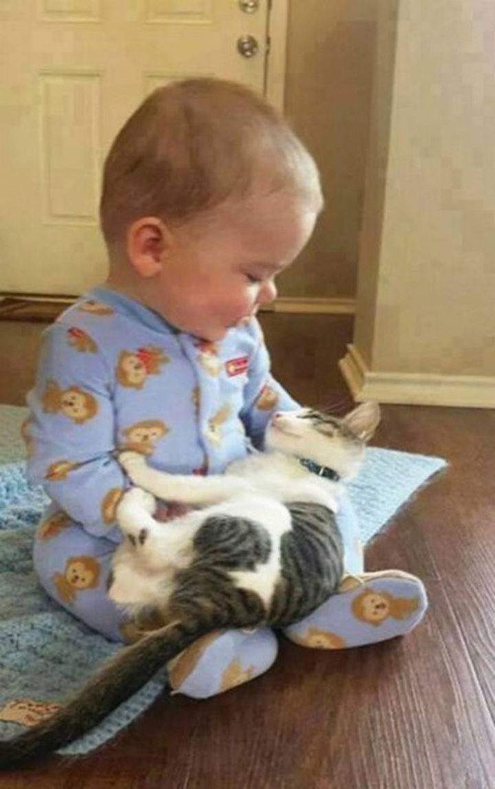 21 Cats Babysitting Babies - "How's it going little fella?"