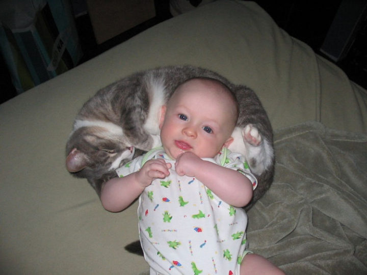 21 Cats Babysitting Babies - "It may not be your naptime, but it is mine!"