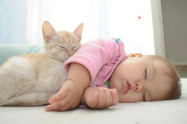 21 Cats Babysitting Babies - "You've got a friend in me."